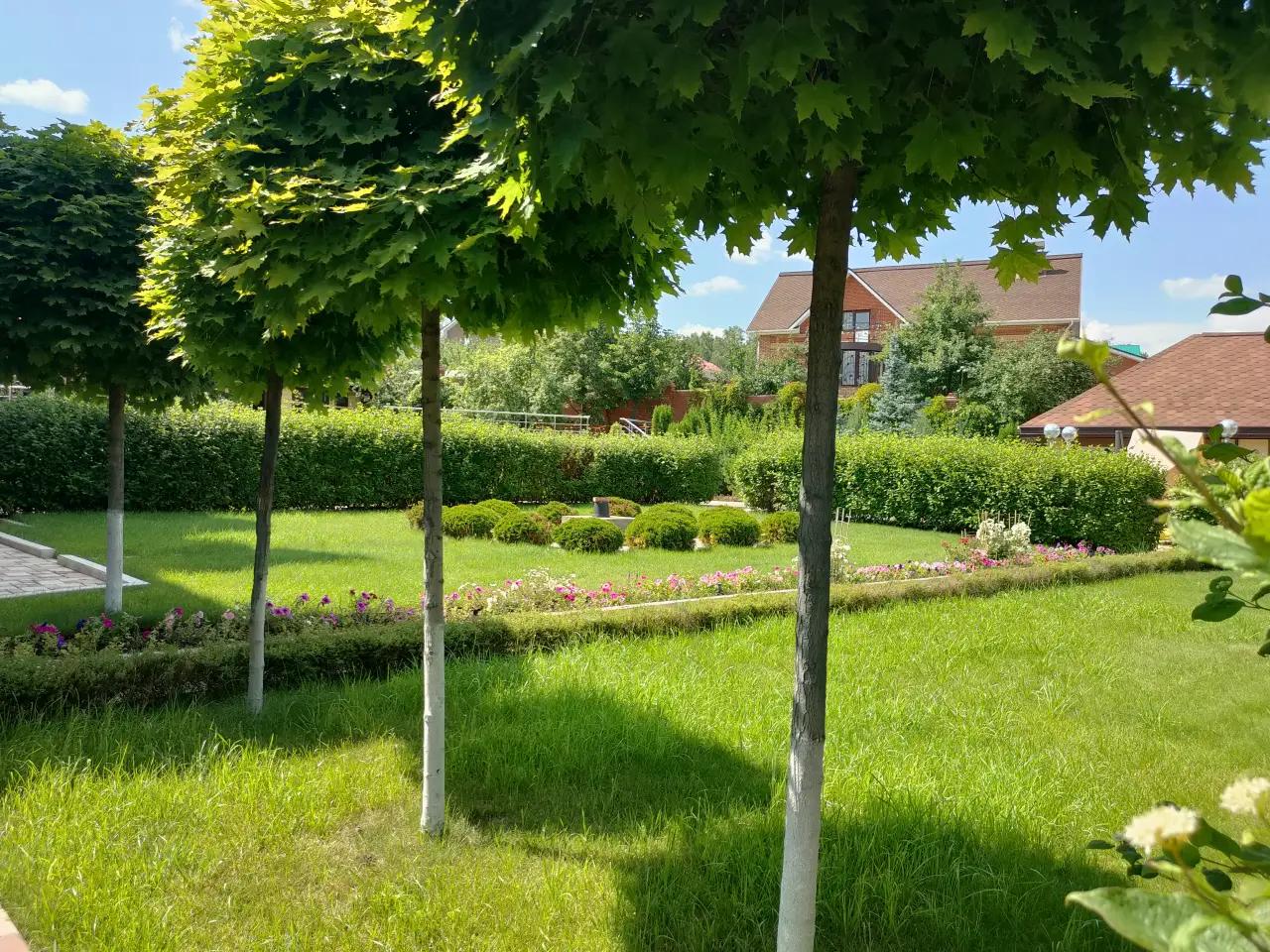 Nine Years of a Garden, Akmanai