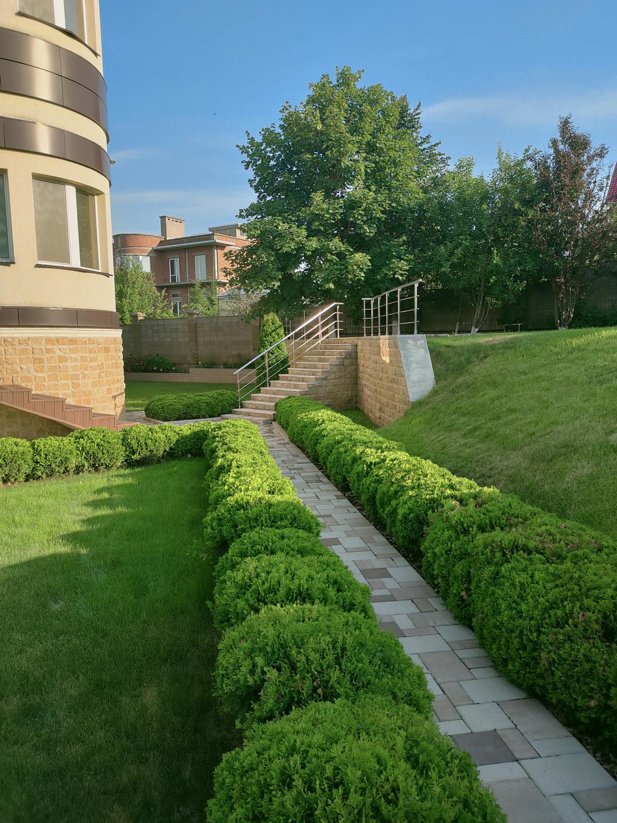 Nine Years of a Garden, Akmanai — A hedged walk and the stairs to the upper terrace