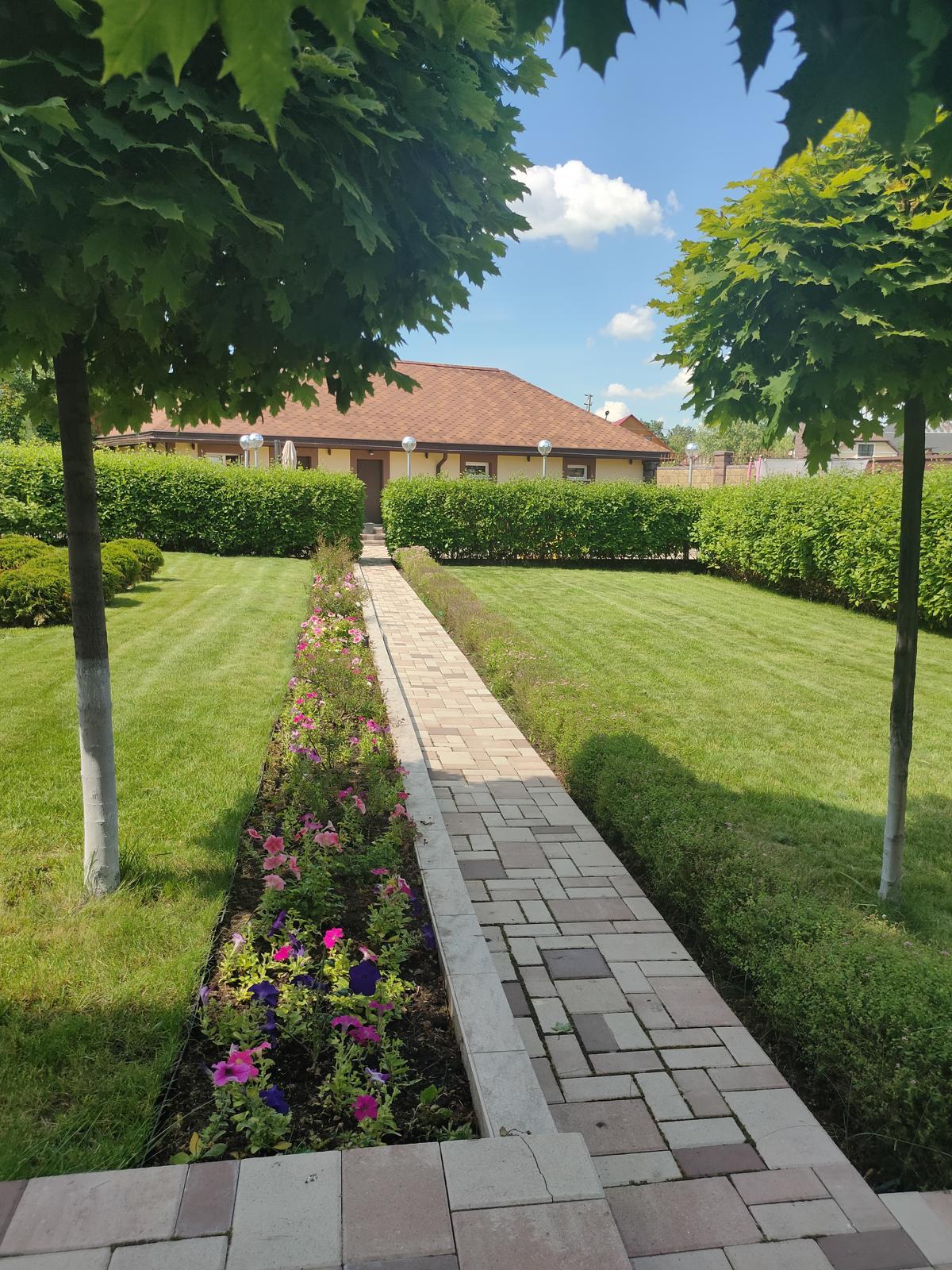 Nine Years of a Garden, Akmanai — Maples, a strip of perennials and the path along the lawn