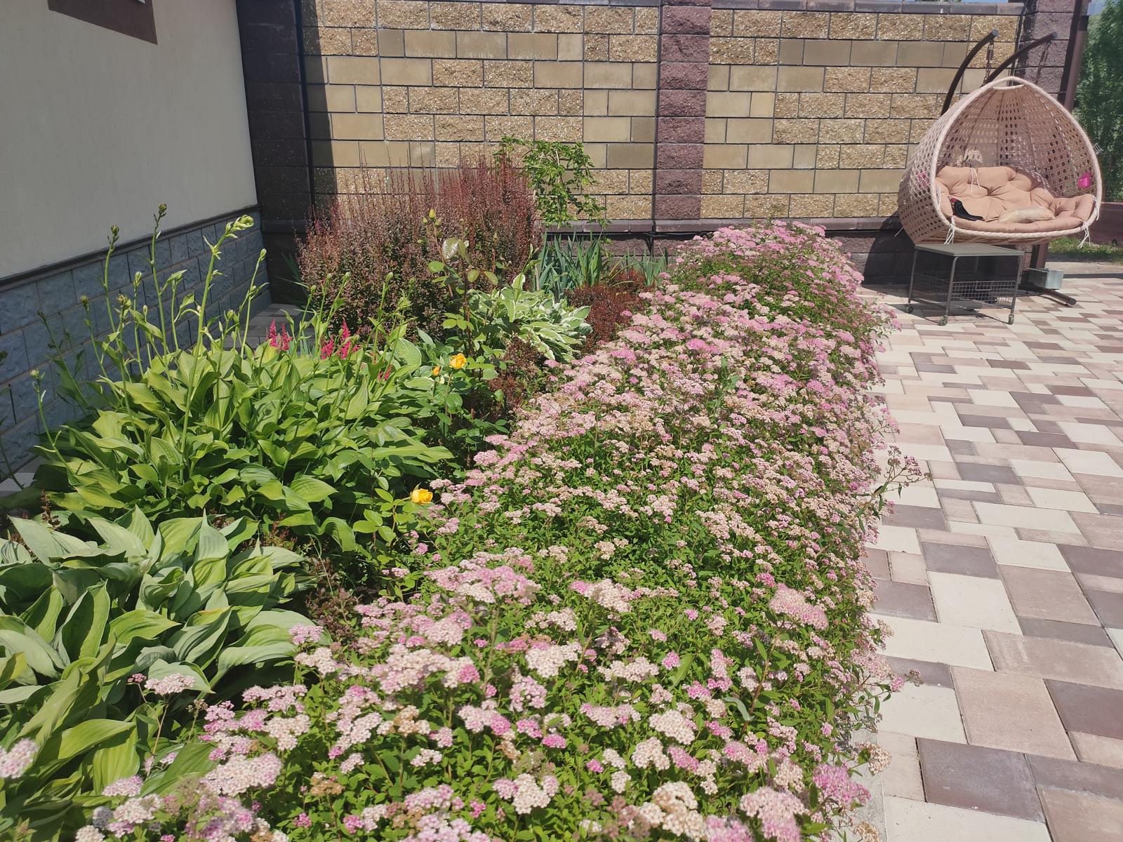 Nine Years of a Garden, Akmanai — Spirea in flower and a hanging chair by the stone wall