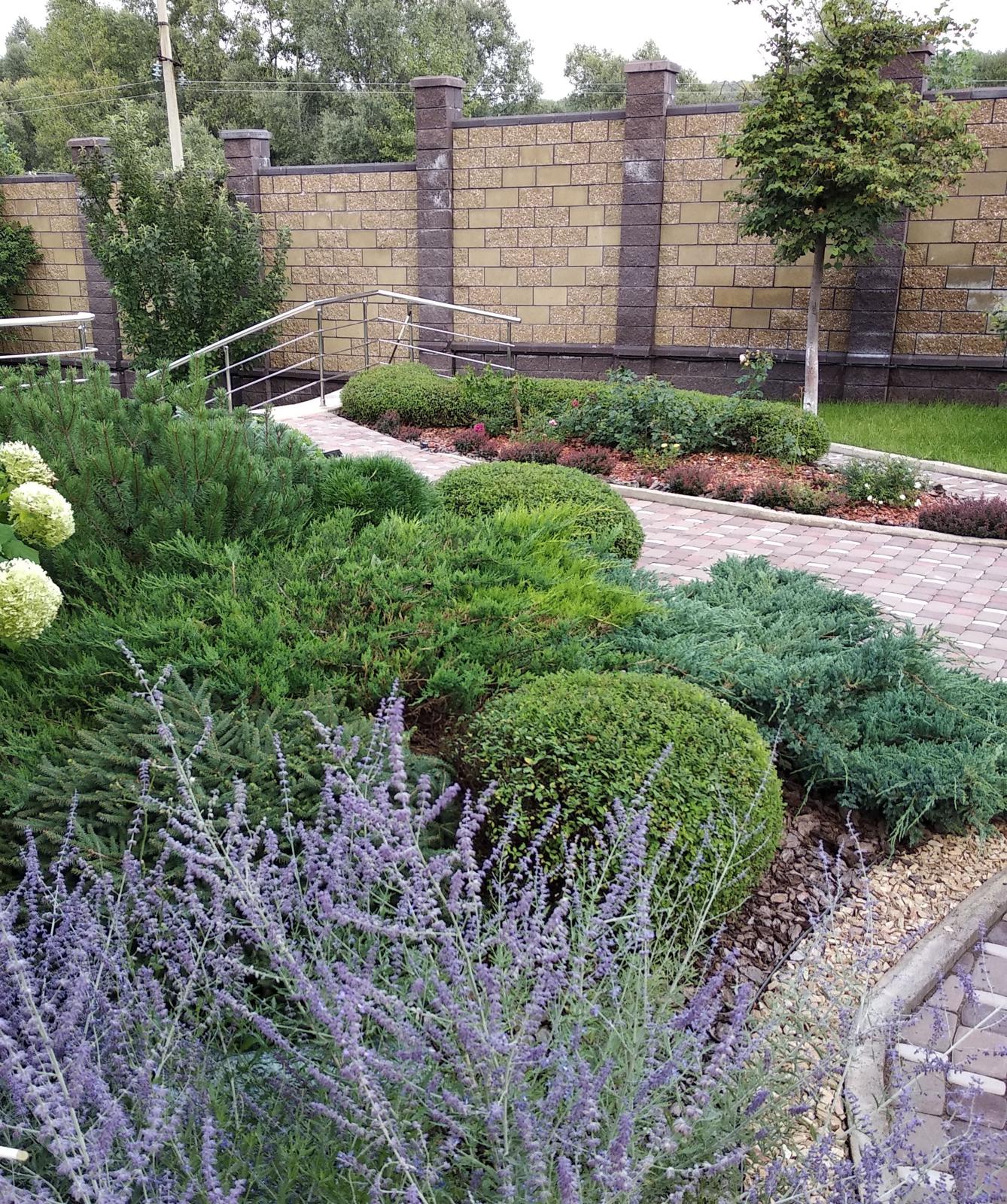 A Garden of Scents, Akmanai