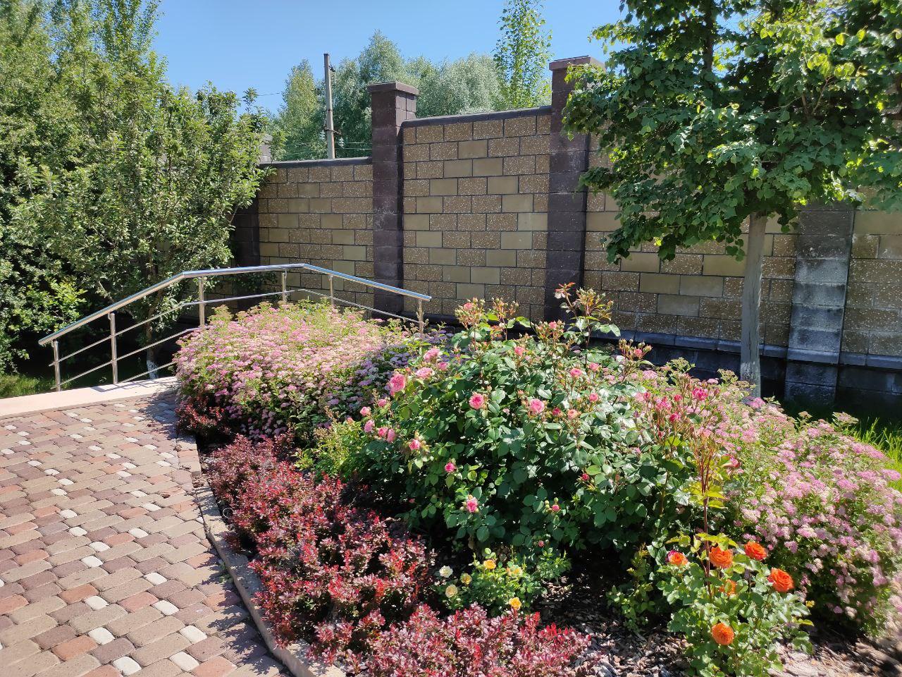 A Garden of Scents, Akmanai — Roses by the path along the wall