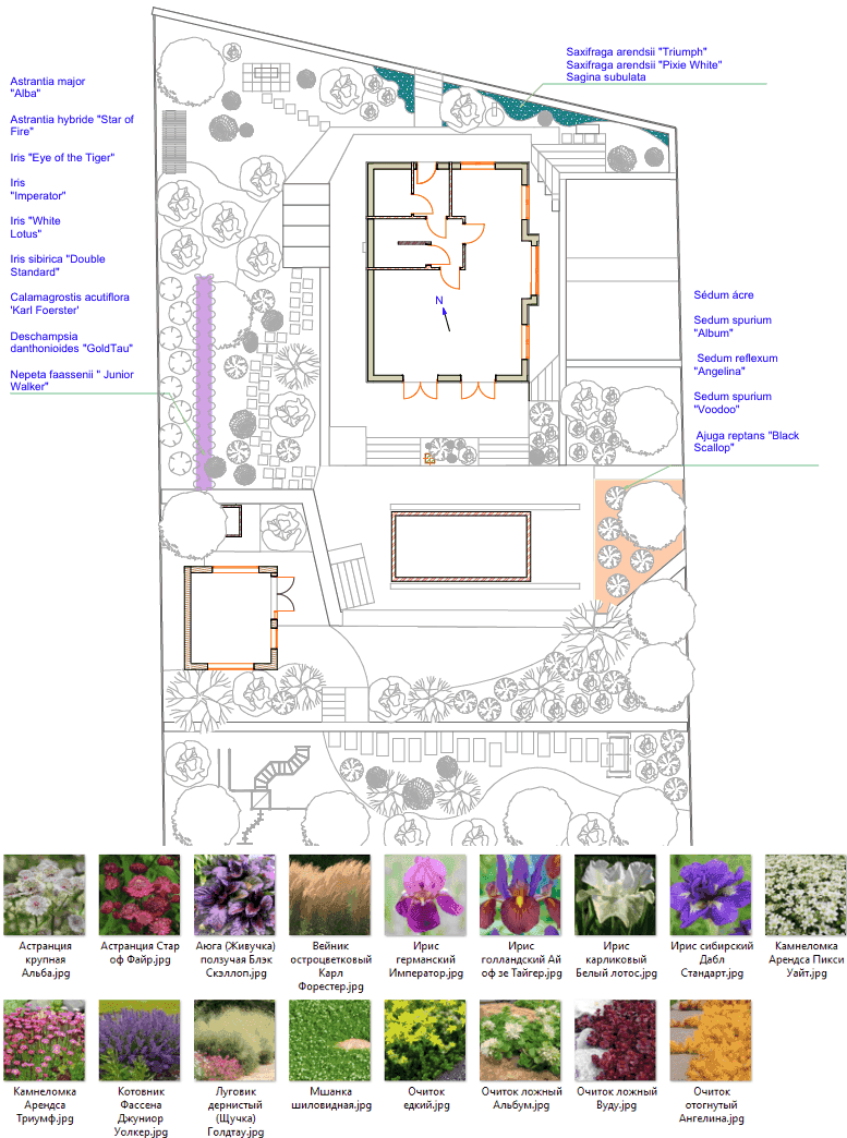 Final project result