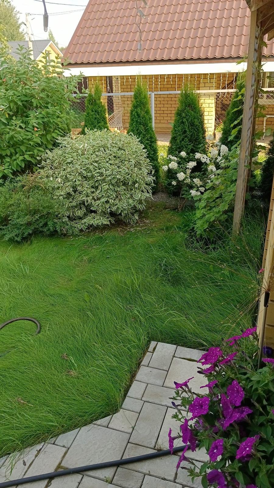 A Quiet Garden on 700 m², Shmidtovo — The yard by the house
